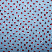 Load image into Gallery viewer, Jolene Dress in Lady Bug Print
