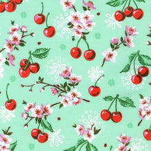Load image into Gallery viewer, Catherine Dress in Mint Cherry
